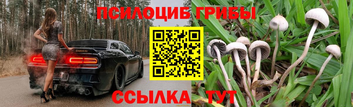 Псилоцибиновые грибы Magic Shrooms  Вход с VPN  Барабинск  сколько стоит  Псилоцибиновые грибы MAGIC MUSHROOMS 